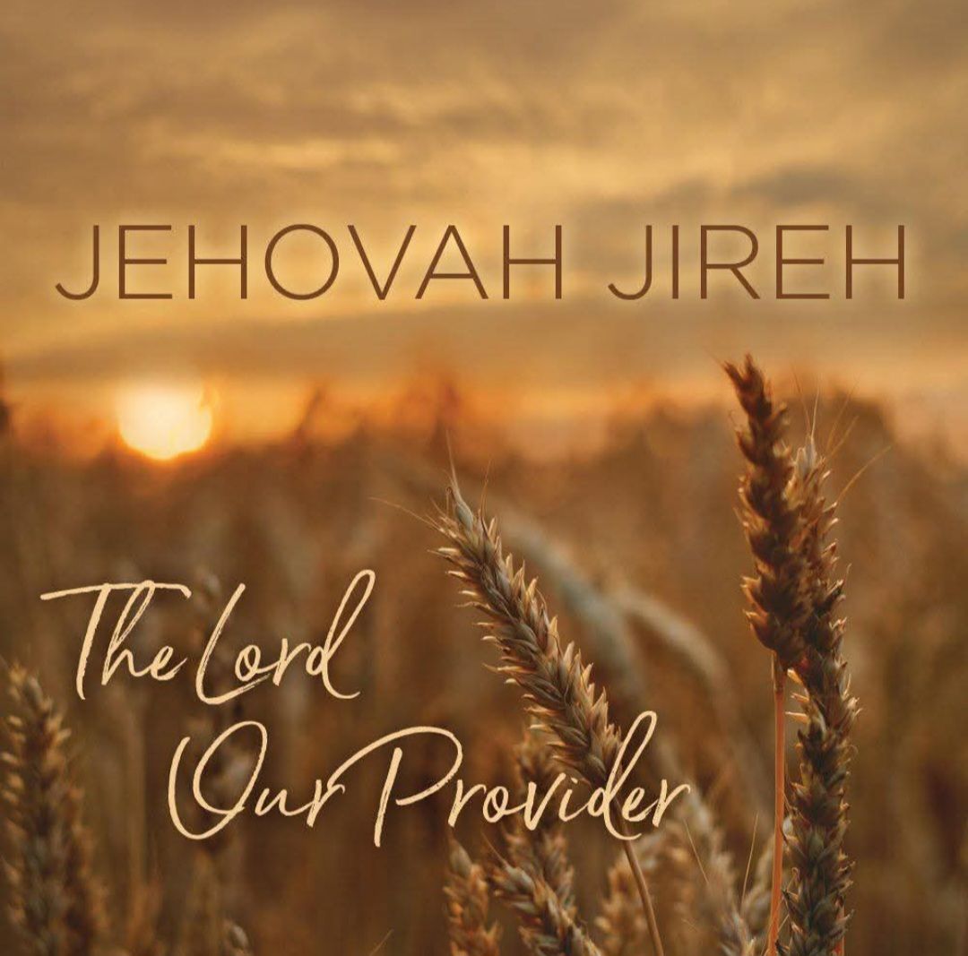 DIFFERENCE BETWEEN PROVIDENCE AND PROVISION visual data 8